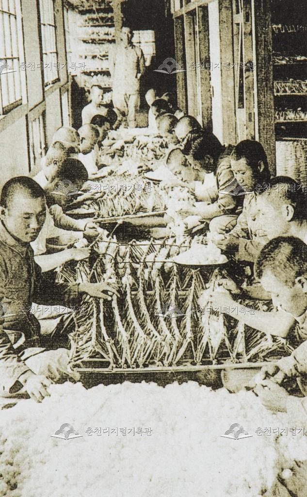 춘천공립농업학교 누에고치 따기 이미지