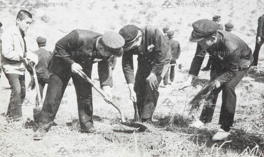 춘천농업고등학교 식목일 행사 이미지