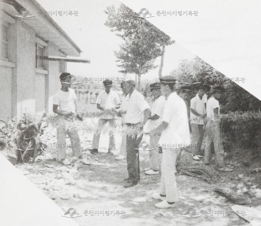 춘천농업고등학교 섶 제조 이미지