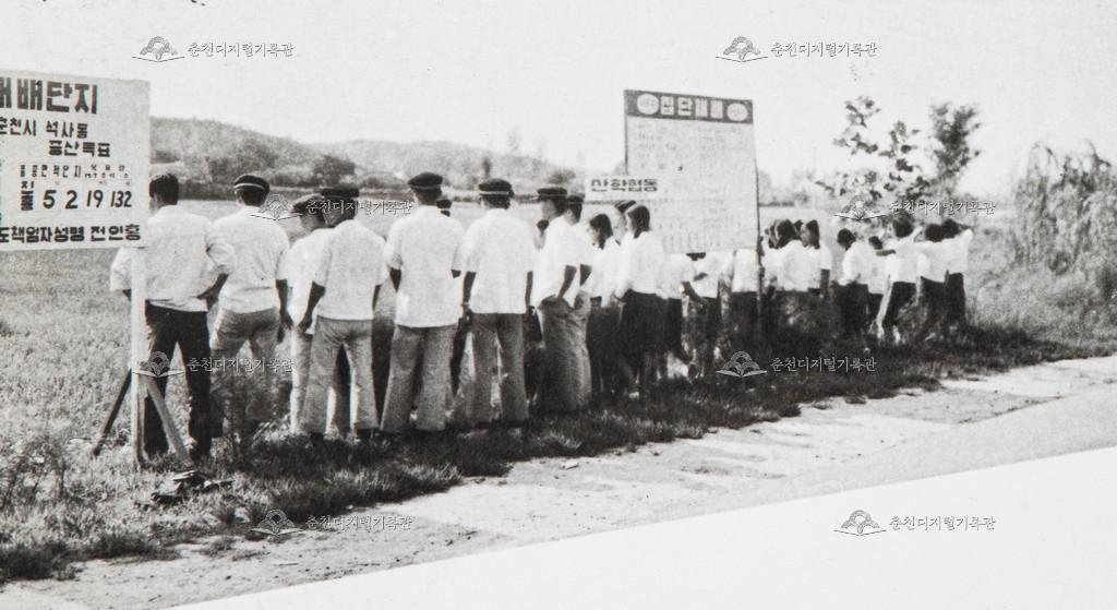 춘천농업고등학교 수도작 집단 재배 부락 시범 이미지