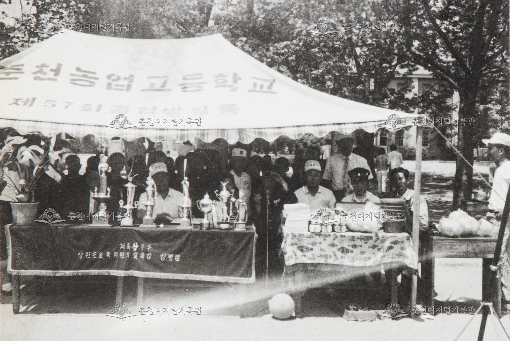 춘천농업고등학교 체육대회 이미지