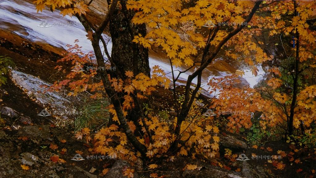 용화산 이미지
