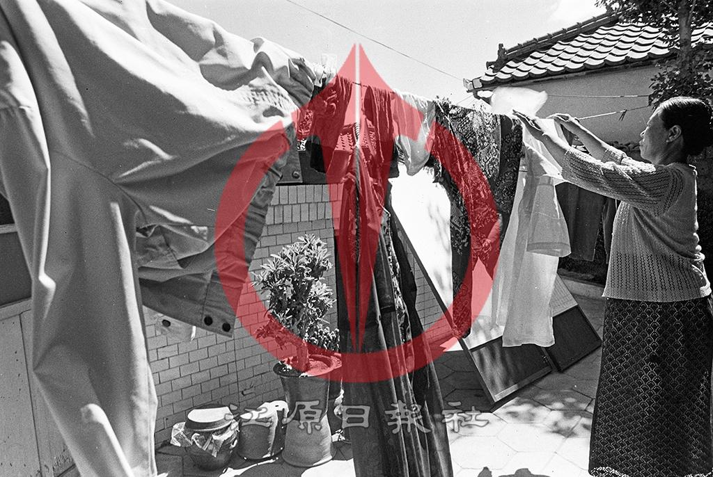 의류를 널고있는 주부 이미지