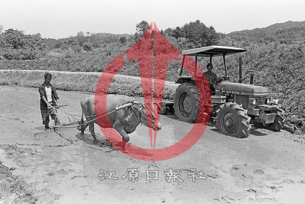 트렉터 논갈이 이미지