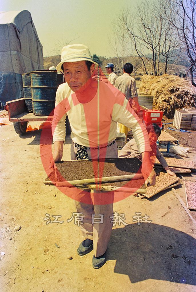 볍씨파종 이미지
