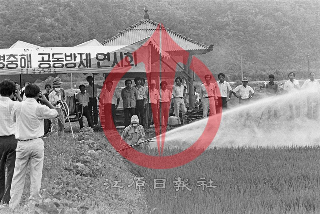 병충해방제 이미지