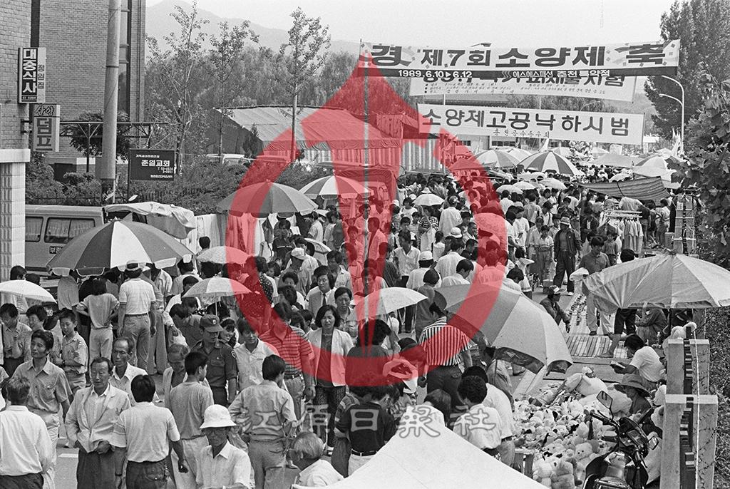 7회 소양제 인파 이미지