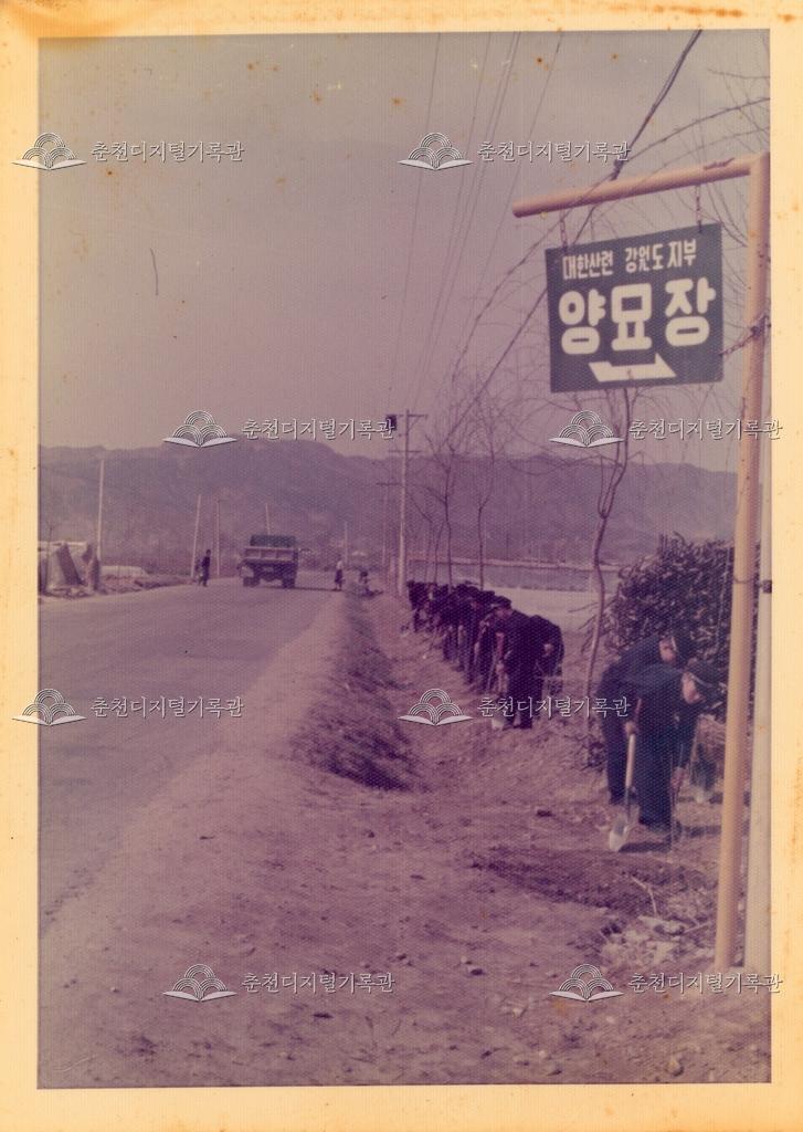 춘천농업고등학교 77년도 도로 정비 이미지