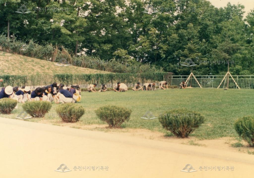 춘천농업고등학교 봉사활동 - 충렬탑 잔디 제조 이미지