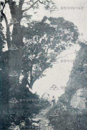 석파령 정상 이미지