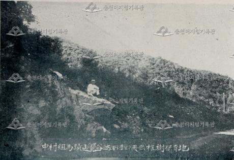 춘천군 천연조림의 실황 이미지