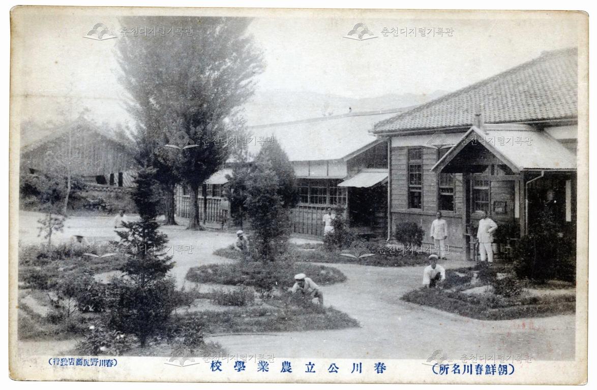 춘천공립농업학교(春川公立農業學校) 사진엽서 이미지