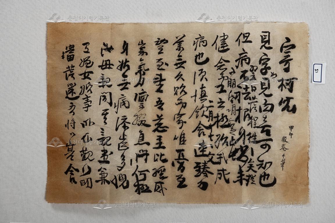기가아(寄柯兒) 이미지