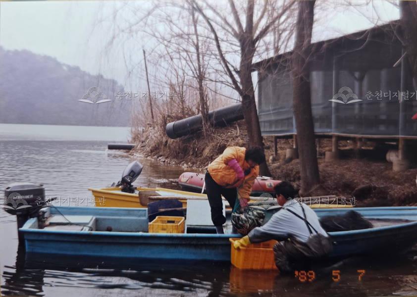 1980년대 춘천호 어부의 내수면 조업 모습 이미지
