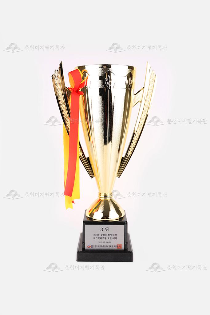 제6회 강원지적장애인 자기권리주장(표현)대회 3위 트로피 이미지