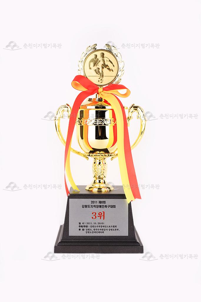2011 제6회 강원도지적장애인축구대회 3위 트로피 이미지
