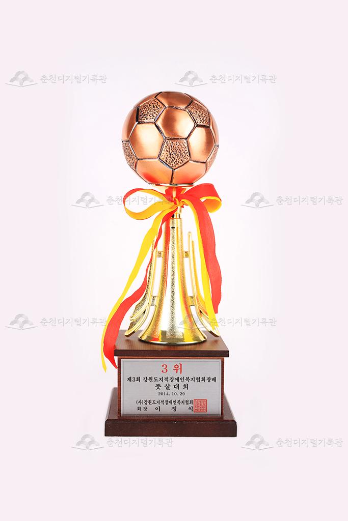 제3회 강원도지적장애인복지협회장배 풋살대회 3위 트로피 이미지
