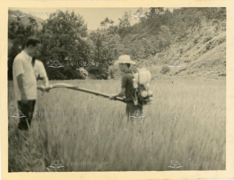 1970년 강원고등학교 1학년 여름방학 봉사활동 썸네일