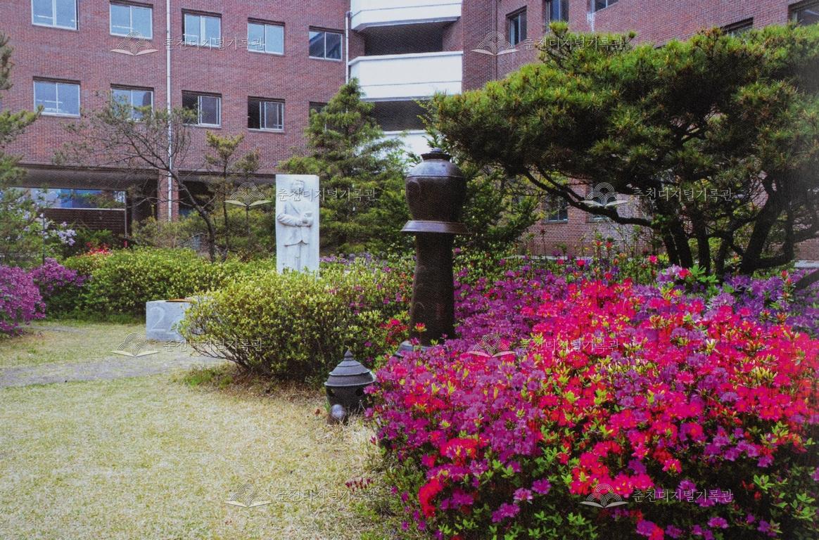 강원고등학교의 사계(봄) 이미지