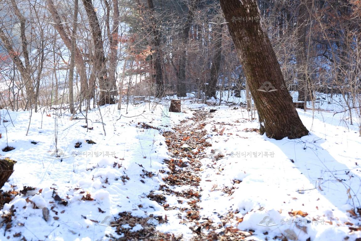 재궁동산제당 올라가는 길 이미지