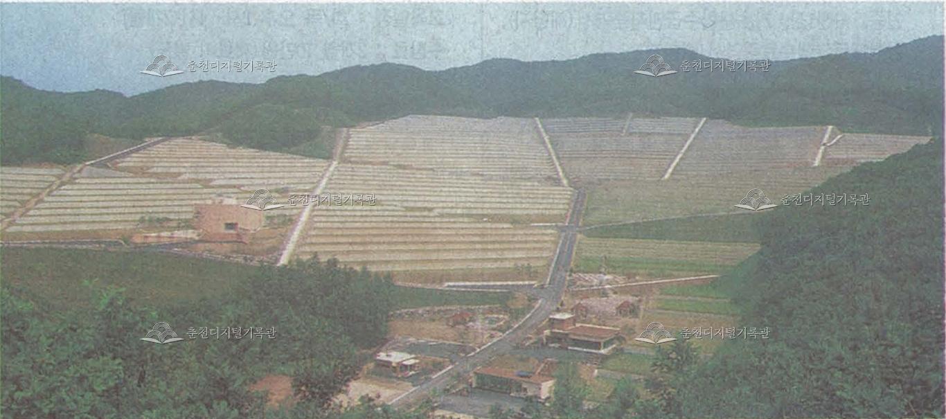 춘천시 공설묘원 개장 이미지