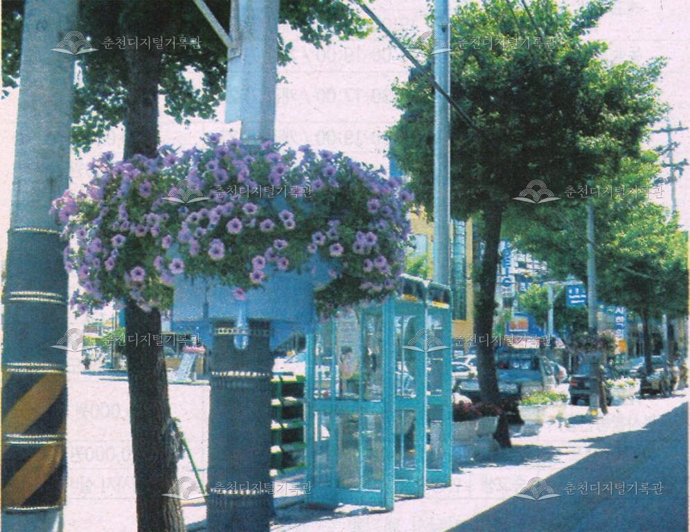 도심 가로등에 화분 설치, 시민들의 정서와 아름다운 시가지 조성 기여 이미지