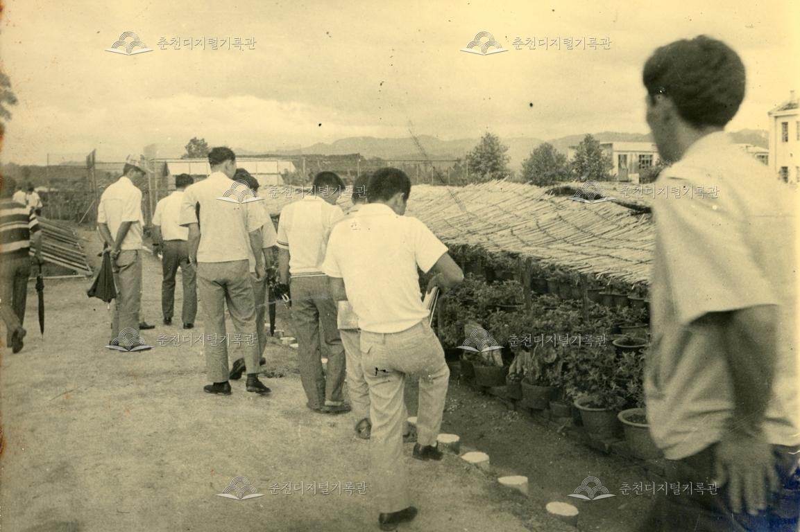 춘천농업고등학교 새마을학교_학교 온실 개방 소개 이미지