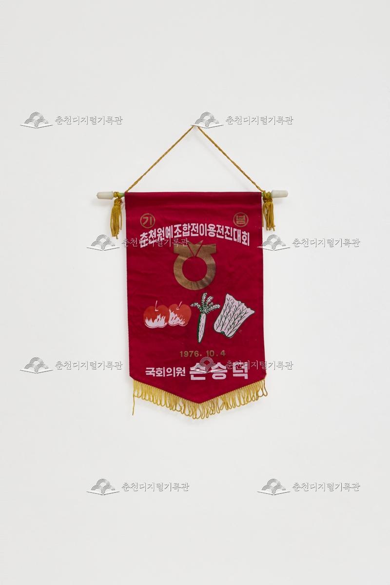 춘천원예조합전이용전진대회_페넌트 이미지