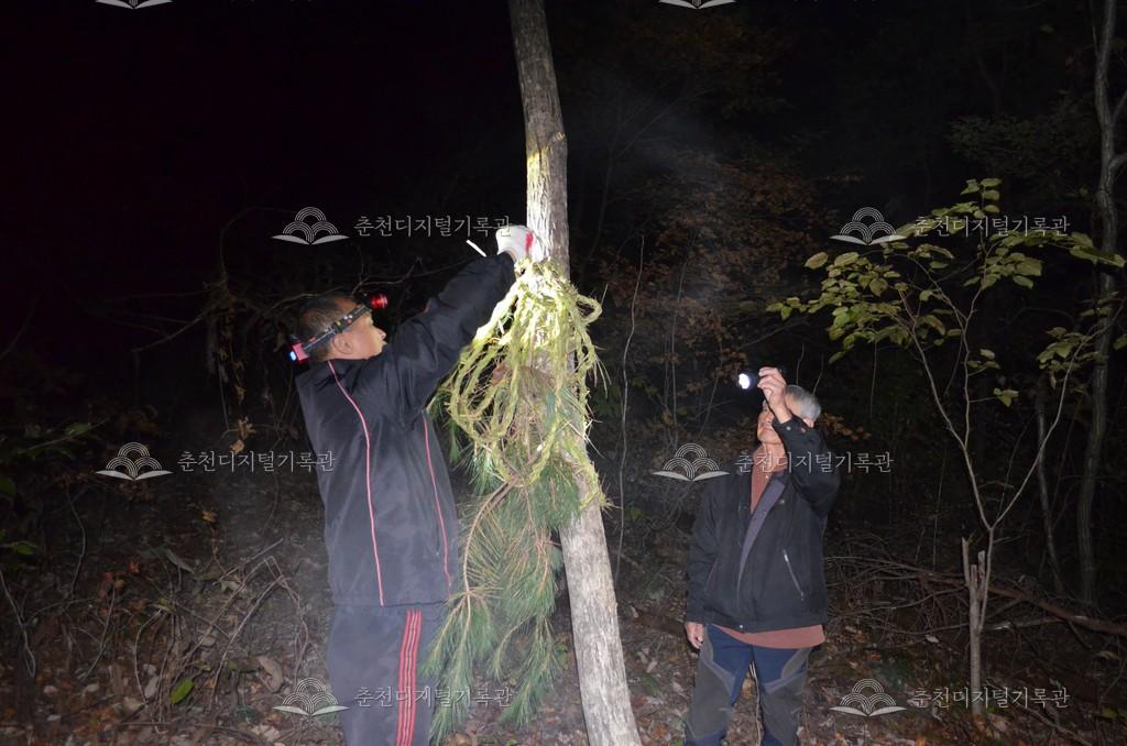추곡1리 산신제 산신당 금줄 이미지