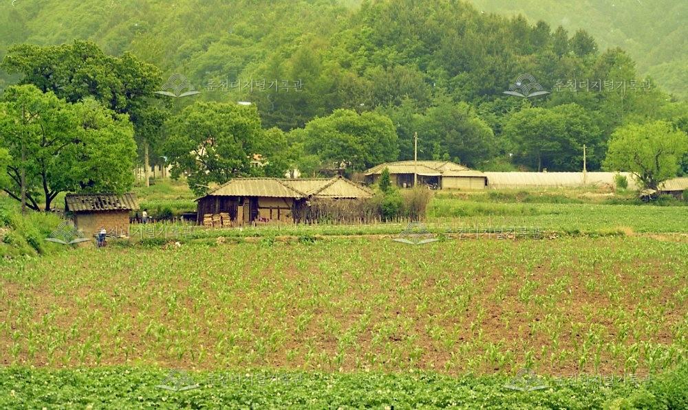 1990년대 농촌 풍경 이미지