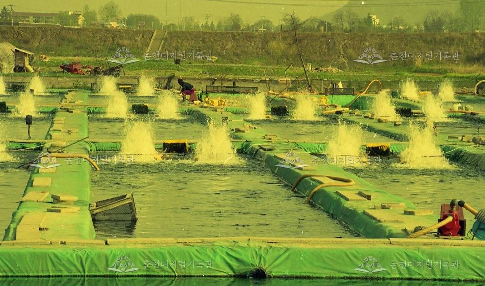 양어장 풍경 이미지